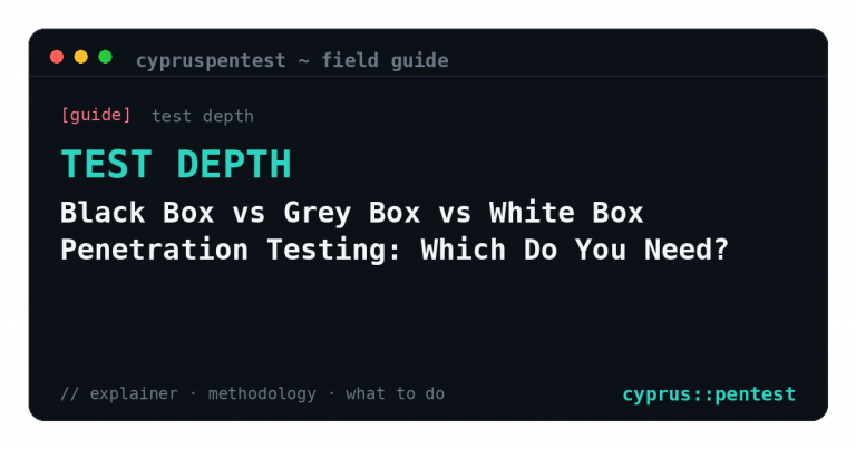 Black Box vs Grey Box vs White Box Penetration Testing: Which Do You Need?